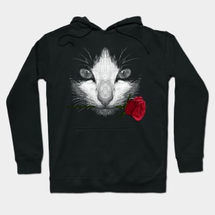 Black Cat Hoodie